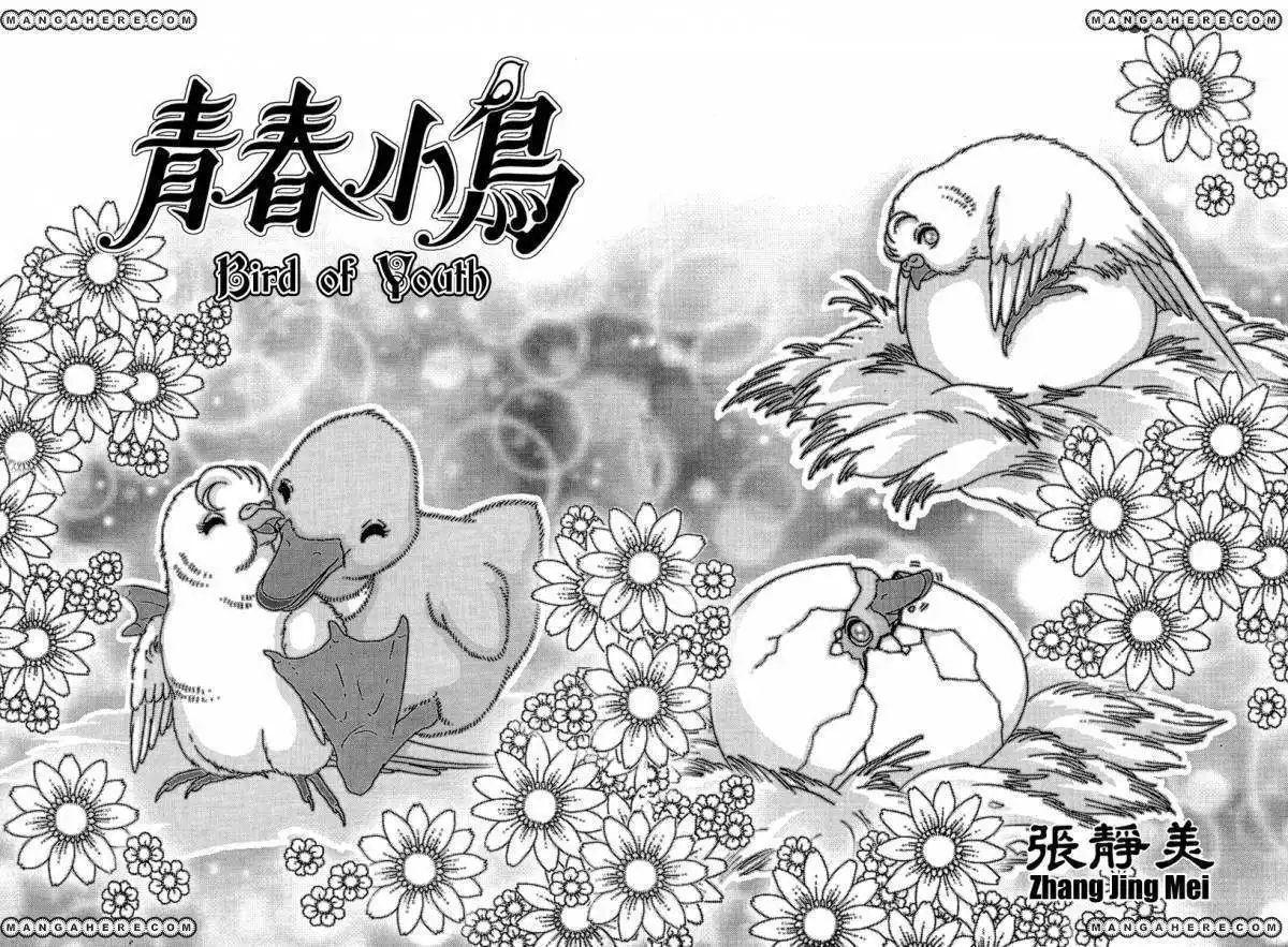 Bird of Youth Chapter 5 7